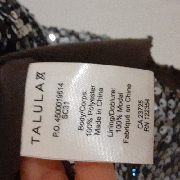 Aritzia Talula silver sparkle tank top. - Picture 5 of 5